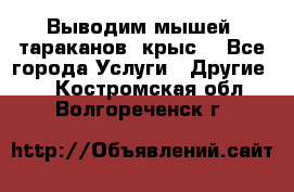 Выводим мышей ,тараканов, крыс. - Все города Услуги » Другие   . Костромская обл.,Волгореченск г.